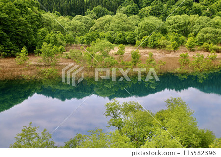 秋番湖水下森林（秋田縣仙北市） 115582396