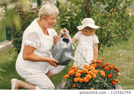 Small girl with senior grandmother gardening in the backyard garden. Child in a white hat. 115582748