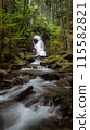 Tashiro's main waterfall 115582821