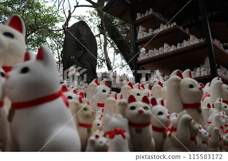 Lucky Cat Lucky Cat 115583172
