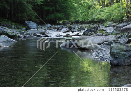 一條河映照著五月的新綠 115583278