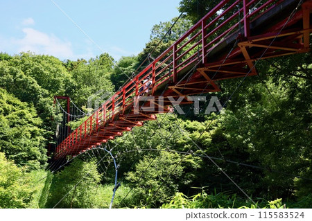 日沼自然公園的吊橋 115583524