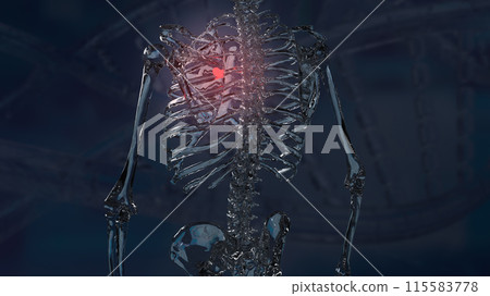 The scapula or shoulder blade for Backache and sci concept 3d rendering. The scapula or shoulder blade for Backache and sci concept 3d rendering. 115583778