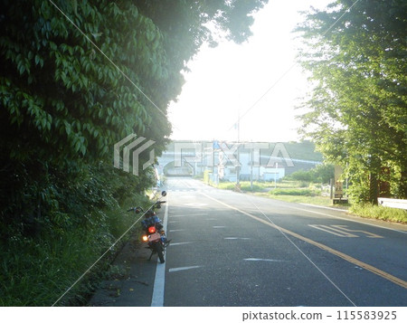 與 Hunter Cub 一起去旅行 與 Hunter Cub 一起去旅行 115583925