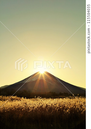 Autumn dawn, Japanese silver grass and Diamond Fuji 115584035
