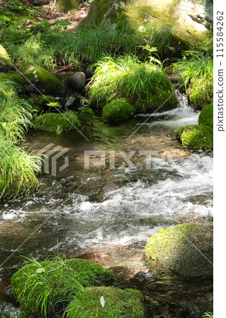 Mossy rocks and clear stream (Nasu, Tochigi Prefecture) Mossy rocks and clear stream (Nasu, Tochigi Prefecture) 115584262