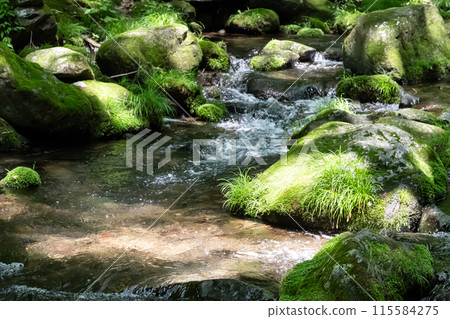 Mossy rocks and clear stream (Nasu, Tochigi Prefecture) 115584275