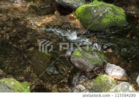A clear stream flowing through the fresh greenery of Nasu, Tochigi Prefecture A clear stream flowing through the fresh greenery of Nasu, Tochigi Prefecture 115584280