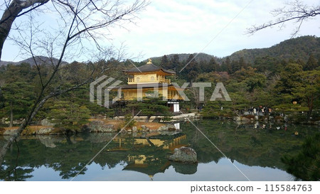 Kinkakuji Temple reflected in the pond 115584763