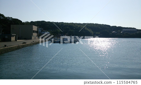 Hidakajima scenery 115584765