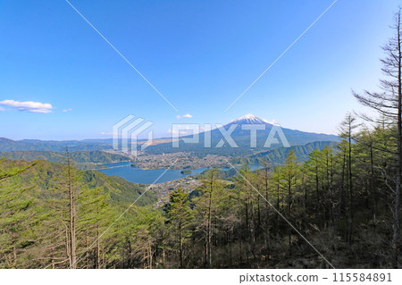 View of greenery, Mt. Fuji and Lake Kawaguchi from the FUJIYAMA Twin Terrace 115584891