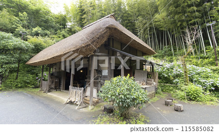 Old houses in the original landscape of Yokohama (Maioka Furusato Park) (rainy season) Old houses in the original landscape of Yokohama (Maioka Furusato Park) (rainy season) 115585082