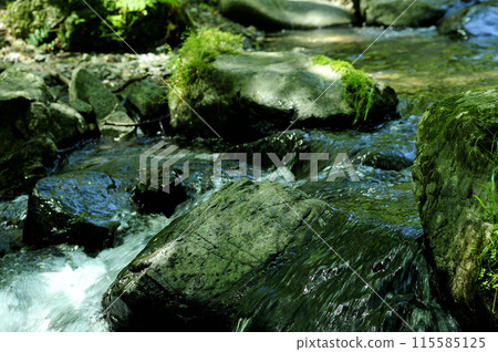 Stream water flow 115585125