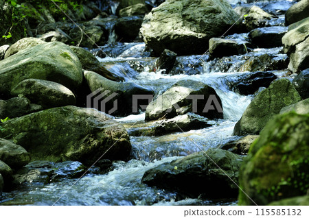 Stream water flow Stream water flow 115585132