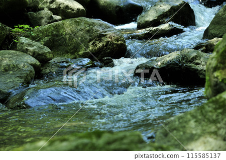 流水流量 流水流量 115585137