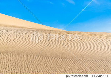 Tottori Sand Dunes: Wind-shaped sand dunes and blue skies 115585361