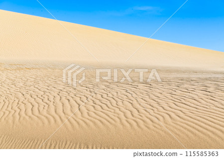 鳥取沙丘 風吹起沙丘和藍天 115585363