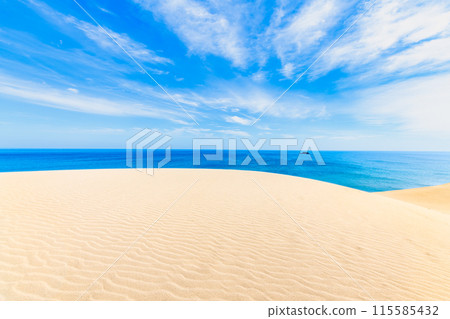 鳥取沙丘 - 風吹沙丘和日本海 115585432