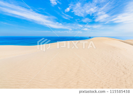 鳥取沙丘 - 風吹沙丘和日本海 115585438