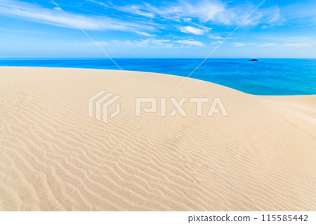 Tottori Sand Dunes: Wind-shaped sand dunes and the Sea of Japan 115585442