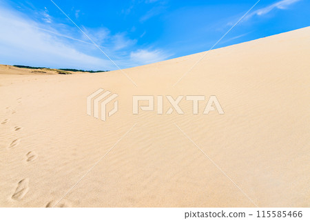 Tottori Sand Dunes: Wind-shaped sand dunes and blue skies 115585466