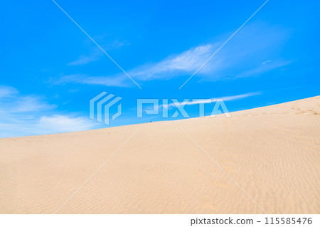 Tottori Sand Dunes: Wind-shaped sand dunes and blue skies Tottori Sand Dunes: Wind-shaped sand dunes and blue skies 115585476