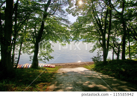 初夏的田澤湖(秋田縣仙北市) 初夏的田澤湖(秋田縣仙北市) 115585942