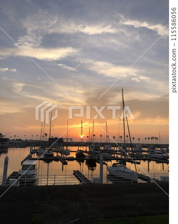 Wakayama Marina City Yacht Harbor (Sunset) 115586056