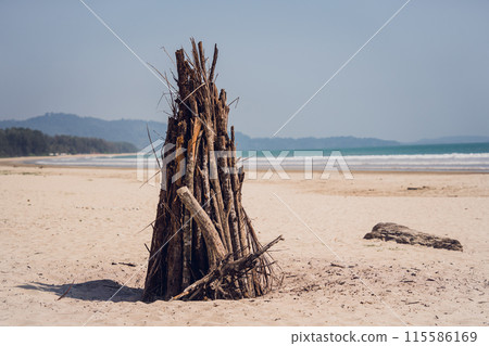 A beautiful beach landscape with big sticks and the ocean in the background A beautiful beach landscape with big sticks and the ocean in the background 115586169