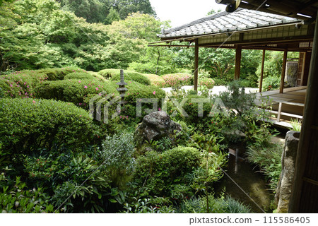 View of the garden from Shisen-no-Ma, Shisen-do View of the garden from Shisen-no-Ma, Shisen-do 115586405