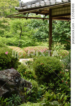 從四仙堂看到的庭園 從四仙堂看到的庭園 115586408