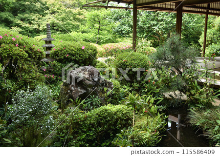 View of the garden from Shisen-no-Ma, Shisen-do View of the garden from Shisen-no-Ma, Shisen-do 115586409