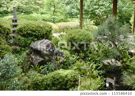 View of the garden from Shisen-no-Ma, Shisen-do View of the garden from Shisen-no-Ma, Shisen-do 115586410