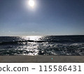 Sea	 115586431
