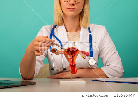 Doctor gynecologist showing pen on anatomical model of uterus and ovaries closeup 115586447