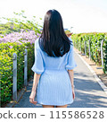 Beautiful woman behind 115586528
