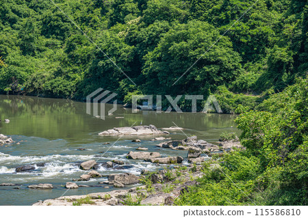 京都府南山城村京都南部的山間溪流木津川 京都府南山城村京都南部的山間溪流木津川 115586810