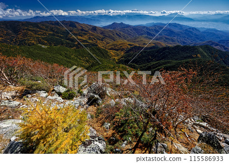 從金風山頂眺望紅葉和富士山 從金風山頂眺望紅葉和富士山 115586933