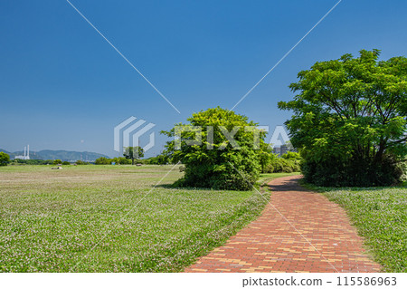 淀川河公園 枚方區 枚方市 115586963