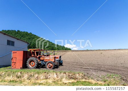 A large tractor working in a cabbage field in Tsumagoi Village, Gunma Prefecture 115587257