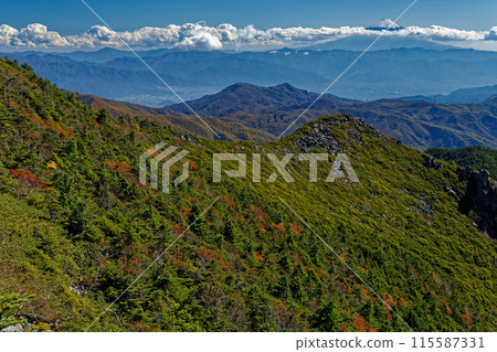 Mt. Fuji seen from the ridge of Mt. Kinpu in autumn colors 115587331