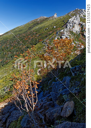 View of the summit of Mt. Kinpu in Okuchichibu from the autumn-colored ridgeline View of the summit of Mt. Kinpu in Okuchichibu from the autumn-colored ridgeline 115587425