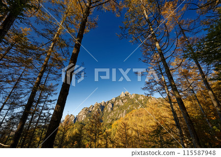 從富士見平地上看紅葉的水垣山 從富士見平地上看紅葉的水垣山 115587948