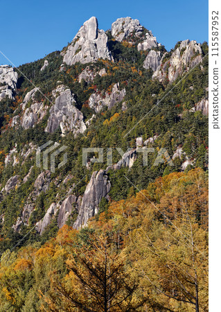 從富士見平看到紅葉的奧秩父和水垣山 115587952