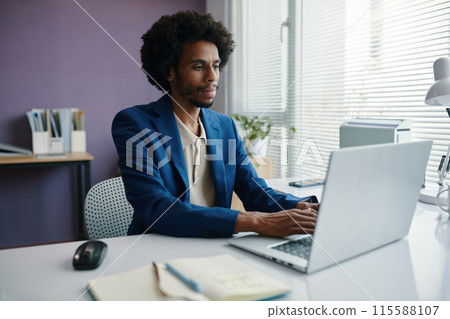 Entrepreneur Working at Office Desk Entrepreneur Working at Office Desk 115588107