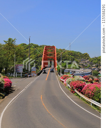 映山紅 115588291