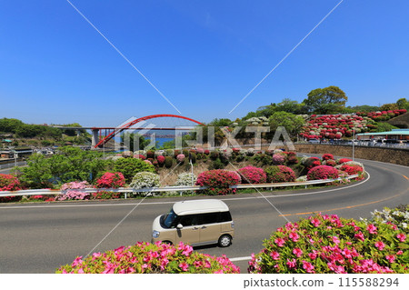 Azalea 115588294