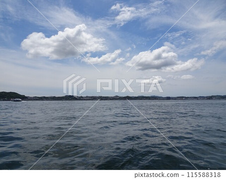 六月出海 115588318