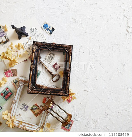 Old stamps and dried flowers and frame Old stamps and dried flowers and frame 115588459