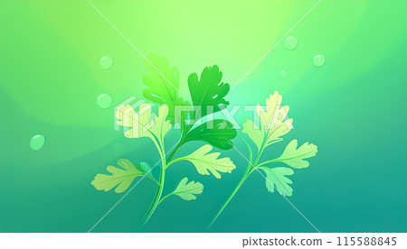 CG background illustration: Parsley image illustration 115588845